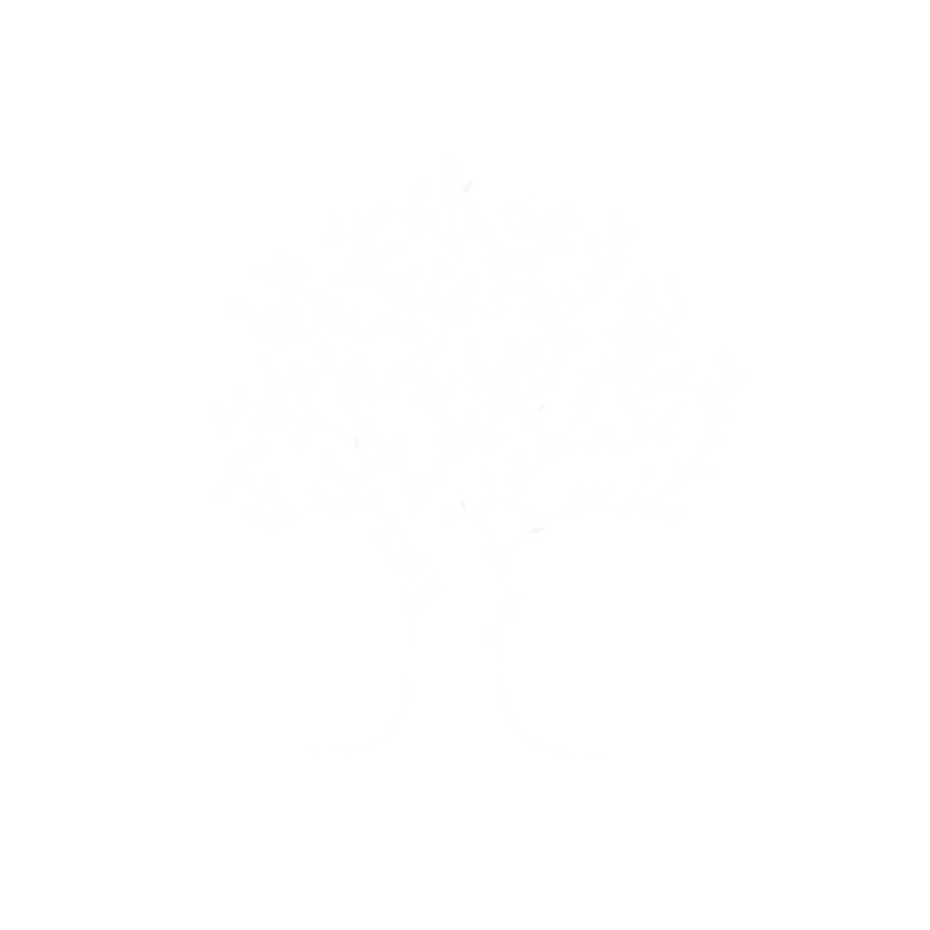 Prywatne Przedszkole Lauder-Morasha